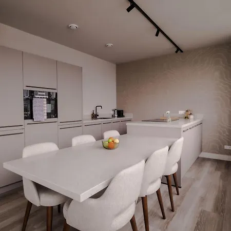 1br Penthouse In Centre