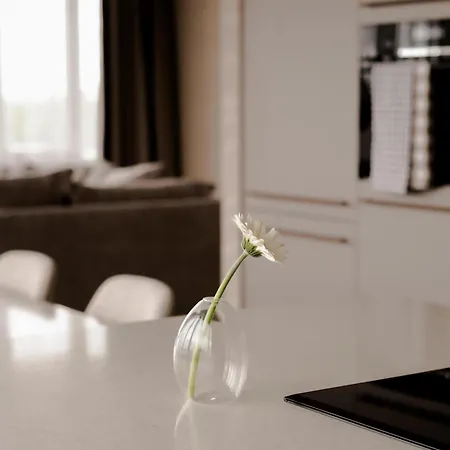 1br Penthouse In Centre * Rotterdam
