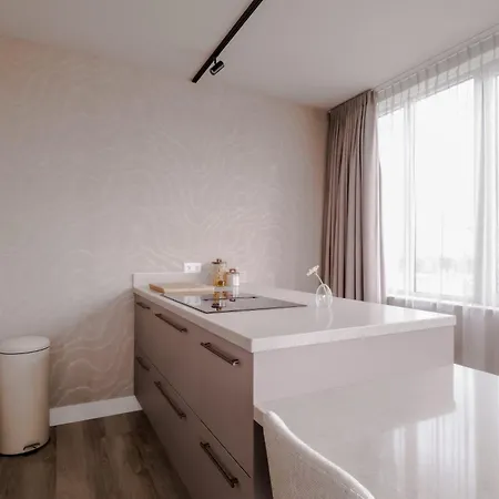 1br Penthouse In Centre Rotterdam