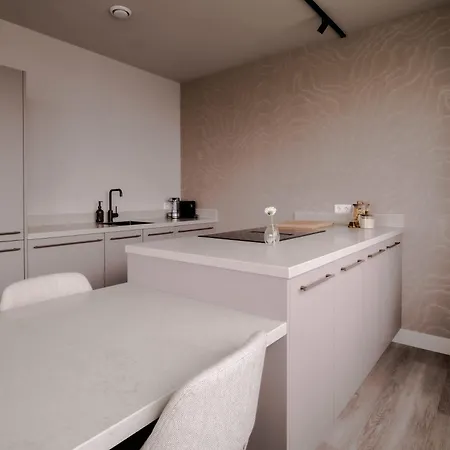 1br Penthouse In Centre