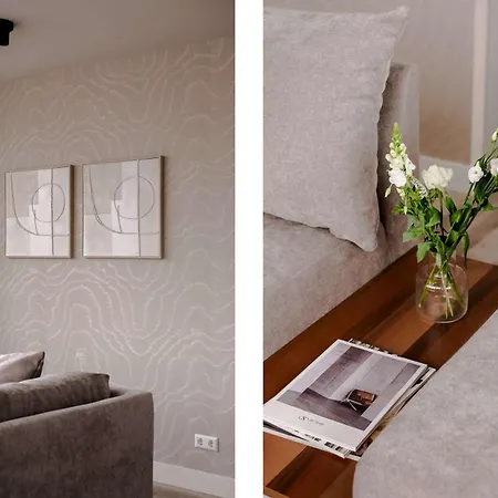 1br Penthouse In Centre